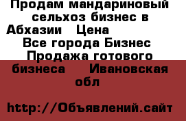 Продам мандариновый сельхоз-бизнес в Абхазии › Цена ­ 1 000 000 - Все города Бизнес » Продажа готового бизнеса   . Ивановская обл.